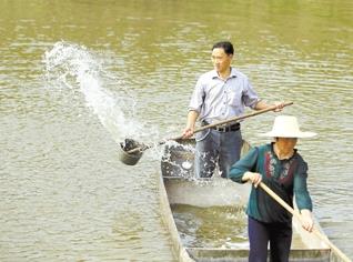 文章附图